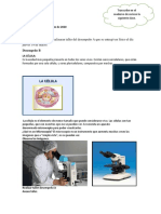 Diseño-estructura-pavimento-flexible-Aashto-Invias-Insituto-Asfalto-Barranca_Lebrija (1).pdf