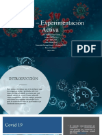 Fase 4 - Experimentación Activa