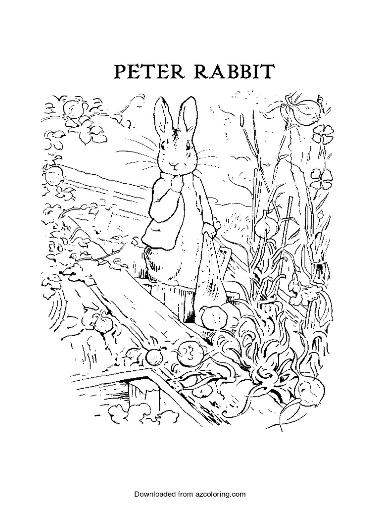 Peter Rabbit Coloring Pages | PDF