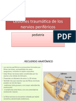 Lesiones traumatica de los nervios perifericos