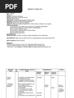 proiect didactic ed plastica compozitia.doc