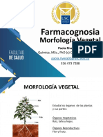 Morfología Vegetal PDF