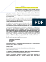 RESUMEN 3 Hongos Fitopatógenos de Alta Importancia Económica