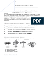 3° Año - Cs. Naturales - Prueba Adaptada NEEP - La Importancia de Las Plantas para Los Seres Vivos