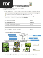 Actividad #2 Reinos Fungí y Plantae