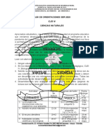 Orientaciones CLEI IV