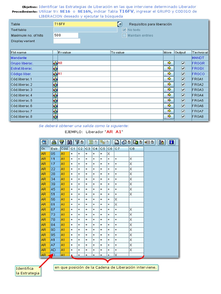 SAP MM-buscar-liberadores-en-estrategias PDF | PDF | Informática