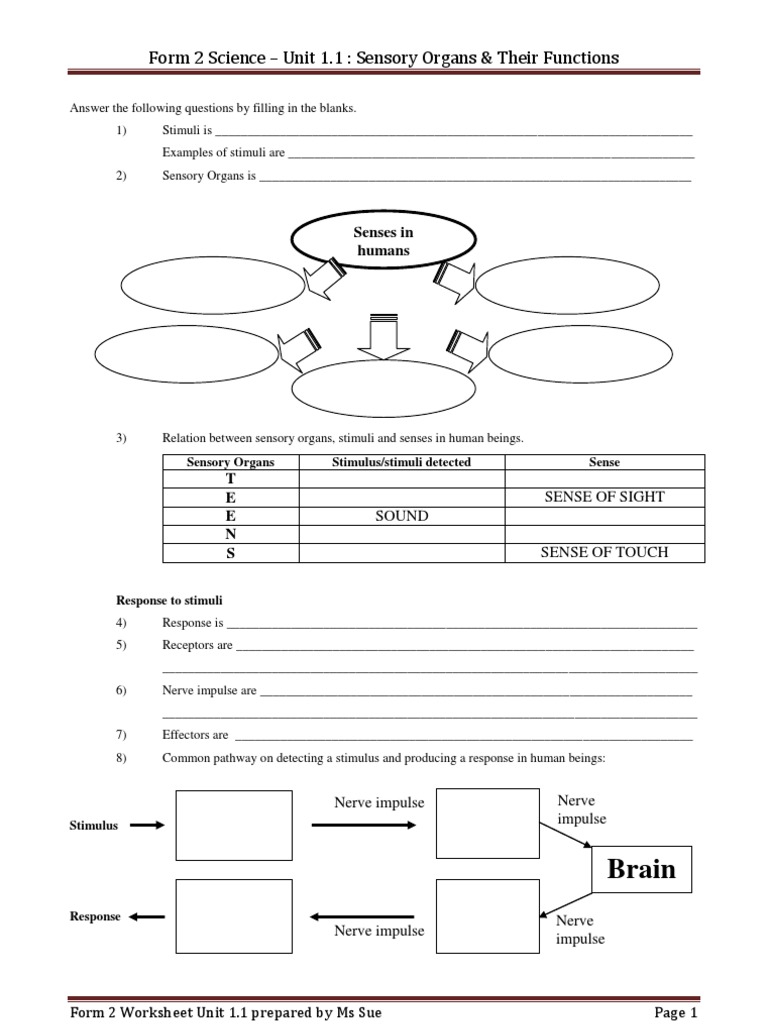 f2 Worksheet 1.1