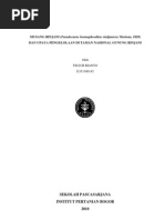 Download Ekologi Musang Rinjani Paradoxurus hermaphroditus rindjanicus by Teguh Rianto SN46251464 doc pdf