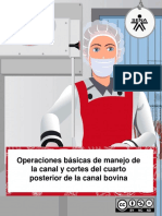 MF_AA1_Operaciones_basicas_manejo_canal_y_cortes_cuarto_posterior (1).pdf
