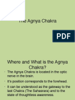 The Agnya Chakra