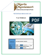 Vacterias - Tarea Mery PDF