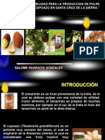 Producción pulpa tamarindo copoazú