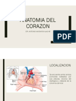 Anatomia Del Corazon PDF