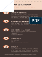 Infografia Resiliencia