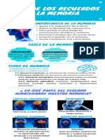 Infografia Memoria