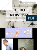 USMP - Sistema-Nervioso