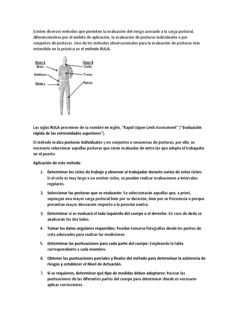 Metodo Rula | PDF
