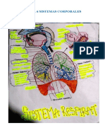 Tarea 6 Sistemas Corporales