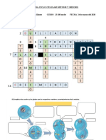 Crucigrama Mitosis y Meiosis