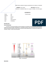 Informe Practica 4