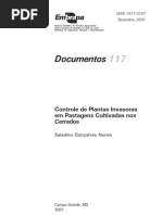 Controle de Plantas Invasoras Em Pastagem