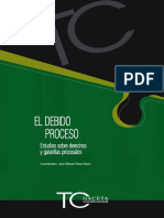 El Debido Proceso.pdf