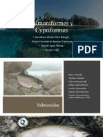 Clase Salmoniformes y Cypriniformes
