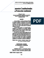 Fundamentos Constitucionales de La Protección Ambiental