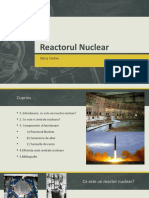 Reactorul Nuclear - Talica Stefan prezentare