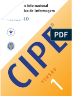 Cipe 1.0 PDF