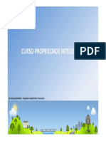 Curso Prop Intelectual PDF