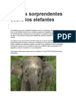 9 Datos Sorprendentes Sobre Los Elefantes