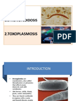 20 Toxoplasmosis