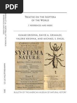 Featured image of post Bau De Diamantes Free Fire Png