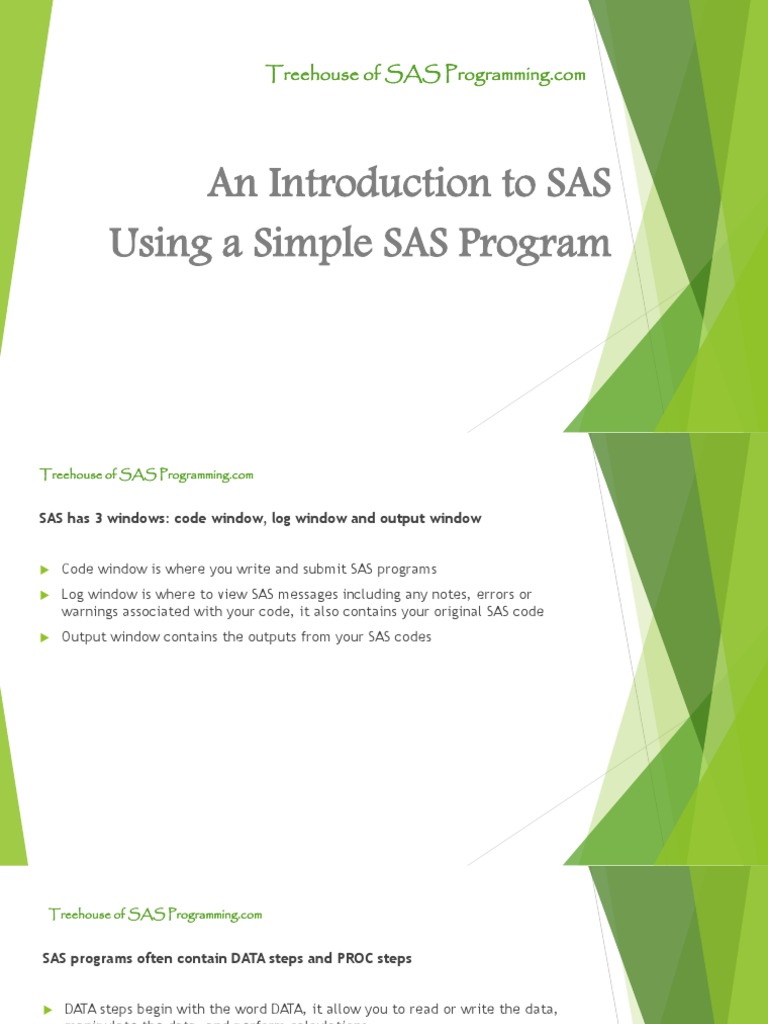 An Introduction To SAS Using A Simple SAS Program | PDF
