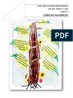 ACTIVIDAD CIENCIAS 21-05-2020