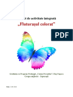 Proiect Fluturasul Colorat