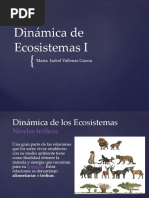 Dinámica de Ecosistemas I