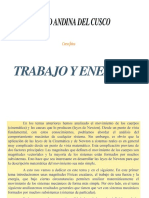 Trabajo_y_energiaPDFhector.pdf