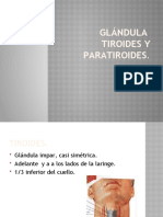 Tiroides Fisioterapia