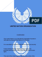 UN Organization Overview