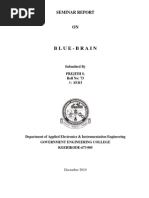 Download blue brain seminar report by Prejith S Mavelikkara SN46260004 doc pdf