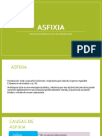 Asfixia expo