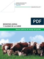 revista carne ipvc.pdf