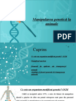 Manipularea Genetica La Animale