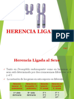 Herencia Ligada Al Sexo