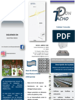 Triptico Base Arandano Carta PDF