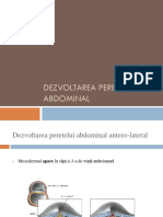 357323680-Dezvoltarea-sistemului-digestiv-1-pptx.pdf