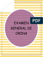 Equipo No.2 Examen General de Orina